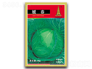 媛春甘藍-甘藍種子-中江農(nóng)業(yè)
