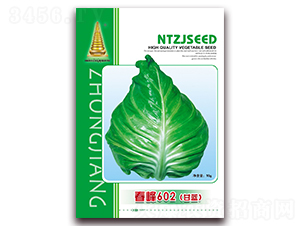 春峰602甘藍(lán)-甘藍(lán)種子-中江農(nóng)業(yè)