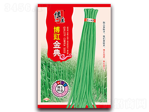 博豇金典-豇豆種子-博王
