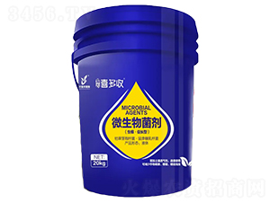 ΢�������-���rϲ����-���rֲ��