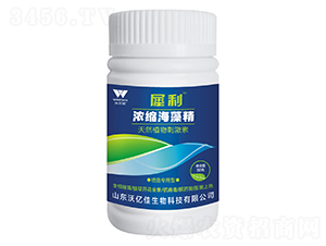 ��s���徫-Ϭ��-�֠���(y��u)