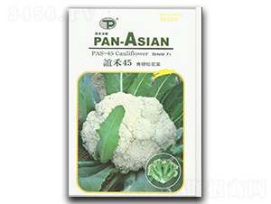 �x��45-�ɻ��˷N��-�x��