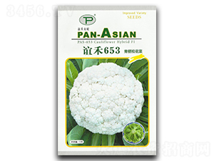 �x��653-�ɻ��˷N��-�x��