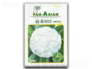 �x��852-�ɻ��˷N��-�x��