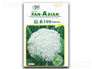 �x��100-�ɻ��˷N��-�x��