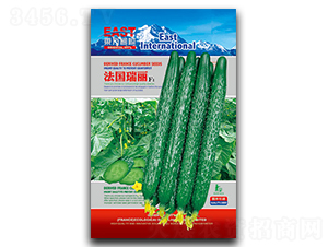 ��������-�S�ϷN��-�����_