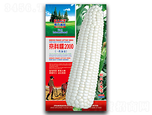 ����Ŵ2000-Ŵ���׷N��-�����_