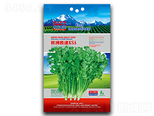 �W�ޘO��KSA-��˷N��-�����_