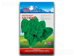 �|�پ���-���˷N��-�����_(d��)