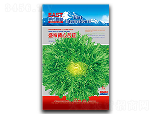 ʢ���S�Ŀ���-���ķN��-�����_