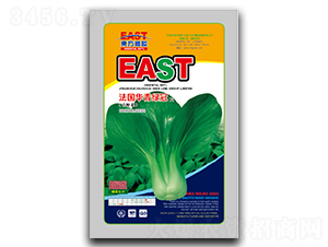 �����A��G��-�Ͳ˷N��-�����_