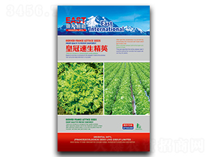 �ʹ�������Ӣ-���˷N��-�����_