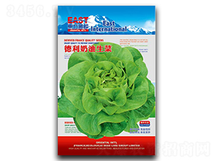 ������������-���˷N��-�����_