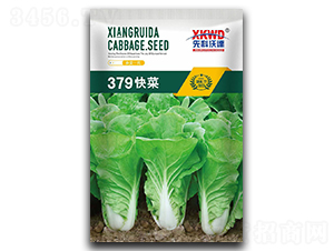 379���-�ײ˷N��-�����_(d��)