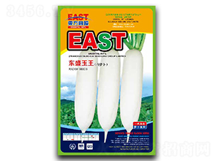 �|ʢ����-�}���N��-�����_(d��)