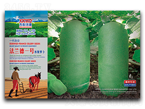 ���m��һ̖-�}���N��-�����_(d��)