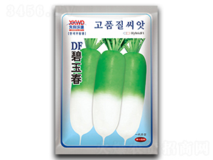 DF���񴺣�����-�}���N��-�����_(d��)