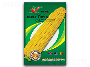 ����Ŵ-Ŵ���׷N��-�S�r(n��ng)�r(n��ng)�I(y��)