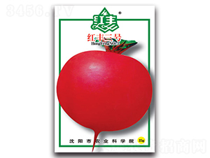 �t�S��̖(h��o)-�}���N��-�S�r(n��ng)�r(n��ng)�I(y��)