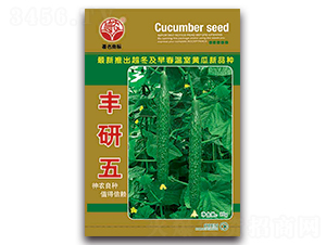 �S����-�S�ϷN��-�S�r�r�I(y��)