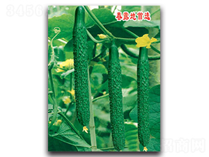 �S�r��-�S�ϷN��-�S�r�r�I(y��)