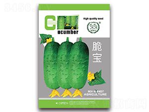 ����-�S�ϷN��-�S�r�r�I(y��)