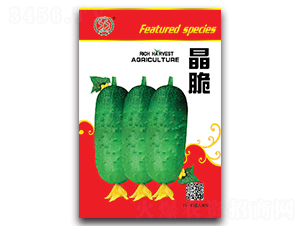 ����-�S�ϷN��-�S�r�r�I(y��)