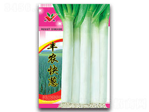 豐農(nóng)快蔥-大蔥種子-豐農(nóng)農(nóng)業(yè)