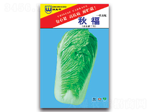 秋福-白菜種子-豐農(nóng)農(nóng)業(yè)