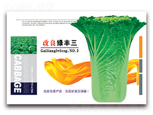 改良綠豐三-白菜種子-豐農(nóng)農(nóng)業(yè)
