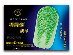 科納爾靚翠-白菜種子-豐農(nóng)農(nóng)業(yè)