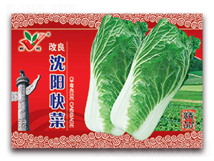 沈陽快菜-白菜種子-豐農(nóng)農(nóng)業(yè)