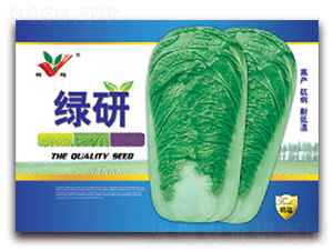 綠研-白菜種子-豐農(nóng)農(nóng)業(yè)