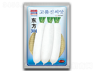 �|��301-���}���N��-�����_