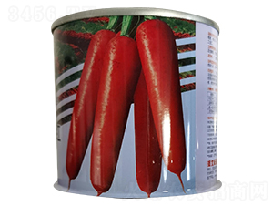 ����Ѽt���ޣ�-���}���N��-�����_