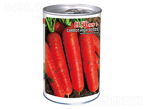 �t�ڣ��ޣ�-���}���N��-�����_(d��)