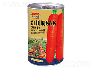 �t����868���ޣ�-���}���N��-�����_(d��)