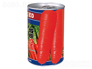 ����t�񣨹ޣ�-���}���N��-�����_(d��)