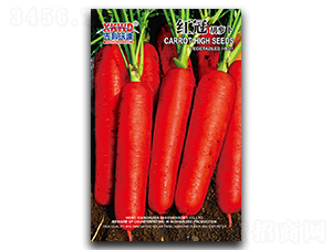 �t��-���}���N��-�����_(d��)