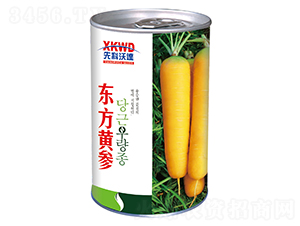東方黃參（罐）-胡蘿卜種子-祥瑞達