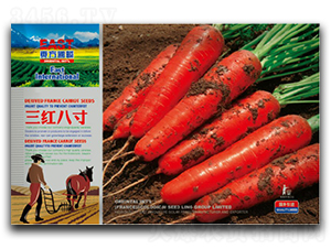 三紅八寸-胡蘿卜種子-祥瑞達(dá)