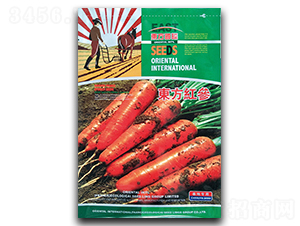 �|���t��-���}���N��-�����_