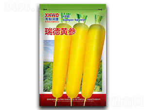 ����S��-���}���N��-�����_(d��)