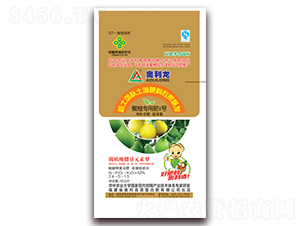 ���֌��÷�1̖24-5-13-�W����-�W��