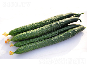 DY10-12-�S�ϷN��-����r(n��ng)�I(y��)