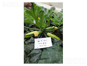 ���S508-�����J�N��-����r(n��ng)�I(y��)