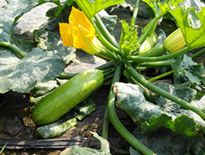 ���S3008-�����J�N��-����r(n��ng)�I(y��)