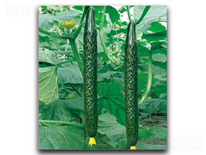 �G��2̖-�S�ϷN��-�����r(n��ng)