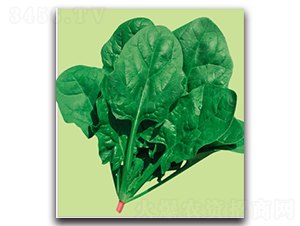 �S��-���˷N��-�����r(n��ng)