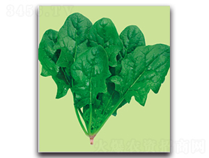 �S��(qi��ng)-���˷N��-�����r(n��ng)